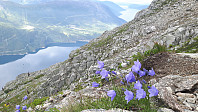 elleso_20200824_5f43643029d28.jpg