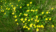 elleso_20200824_5f4366388cc32.jpg