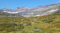 elleso_20200824_5f4368468a5af.jpg