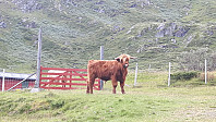 elleso_20200905_5f53d7b1cbe77.jpg