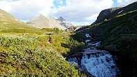 elleso_20200905_5f53e448e71d7.jpg