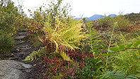 elleso_20200926_5f6f726c68c78.jpg
