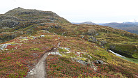elleso_20200926_5f6f7279b8588.jpg