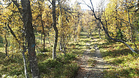 elleso_20201020_5f8f32a748026.jpg