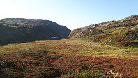 elleso_20201020_5f8f32aa60a6a.jpg