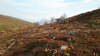 elleso_20201020_5f8f360f404d2.jpg