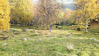 elleso_20201020_5f8f3615715a6.jpg