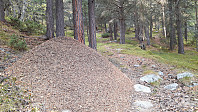 elleso_20201020_5f8f3618acb3b.jpg