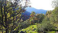 elleso_20201020_5f8f421978e70.jpg