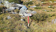 elleso_20210107_5ff749ac2a5db.jpg