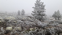 elleso_20210311_6049db3c30168.jpg