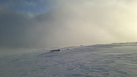 elleso_20210321_605780ecc45cb.jpg