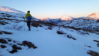 elleso_20210413_6075cdeeb4319.jpg