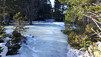 elleso_20210520_60a6a2d170428.jpg