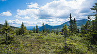 ovega_20160613_575e6d4e835d6.jpg