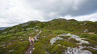 ovega_20160613_575e6d7f07cc5.jpg