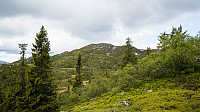 ovega_20160613_575e6d992199a.jpg