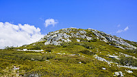ovega_20160613_575e6df252122.jpg