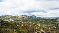 ovega_20160613_575e6e953dc02.jpg
