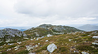 ovega_20160613_575e6ebfe003b.jpg