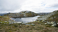 ovega_20160613_575e6f72ace20.jpg