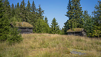 ovega_20160613_575e7837aabf5.jpg
