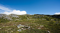 ovega_20160628_57724b39687f6.jpg