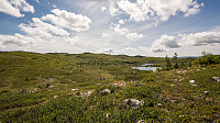 ovega_20160628_57724b6552ba9.jpg