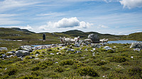 ovega_20160628_57724bbfec18e.jpg
