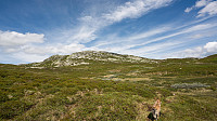 ovega_20160628_57724be94a364.jpg