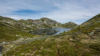 ovega_20160628_57724c8594b0f.jpg