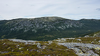 ovega_20160628_57724cba605e8.jpg