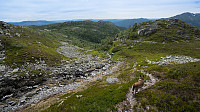 ovega_20160628_57724cc6e4cf2.jpg