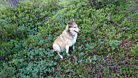 ovega_20160703_5779037cd0397.jpg