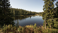 ovega_20160922_57e3c8257912e.jpg