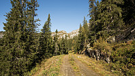 ovega_20160922_57e3c82914782.jpg