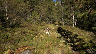 ovega_20160922_57e3c82c219b8.jpg
