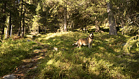 ovega_20160922_57e3c82f85032.jpg