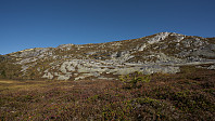 ovega_20160922_57e3c8391cc65.jpg