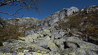 ovega_20160922_57e3c8440f5a1.jpg