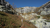 ovega_20160922_57e3c84aac0d6.jpg