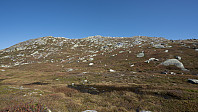 ovega_20160922_57e3c862d0957.jpg