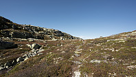ovega_20160922_57e3c865ddba8.jpg