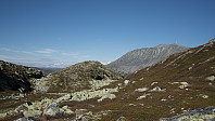 ovega_20160922_57e3c86f56bdb.jpg