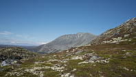 ovega_20160922_57e3c876c94dd.jpg