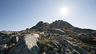 ovega_20160922_57e3c880d64c1.jpg