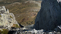 ovega_20160922_57e3c89b22945.jpg