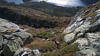 ovega_20160922_57e3c8a7f00c2.jpg