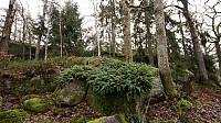 ovega_20161212_584eec35a871d.jpg