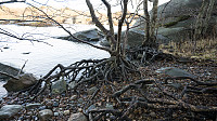 ovega_20161212_584eec9521a24.jpg
